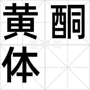 黄酮体