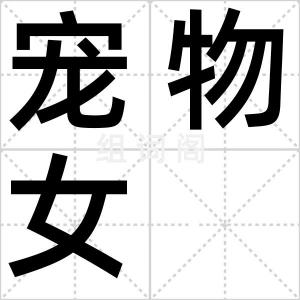 宠物女