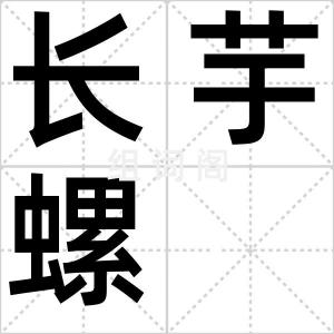 长芋螺