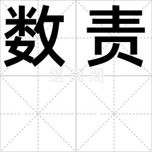 数责