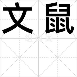文鼠