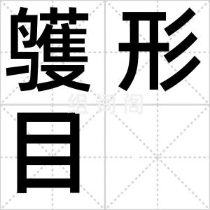 鹱形目