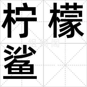 柠檬鲨
