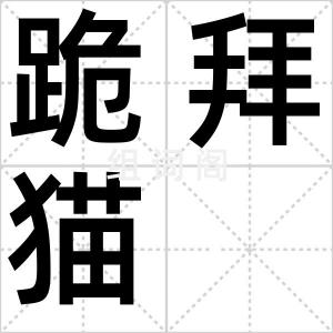 跪拜猫