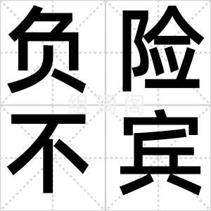 负险不宾