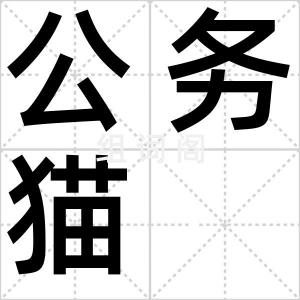 公务猫
