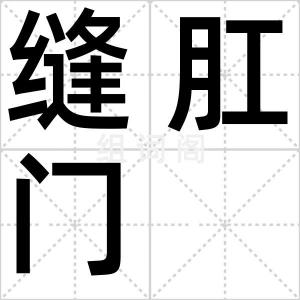 缝肛门