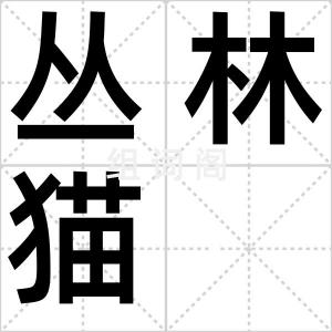 丛林猫