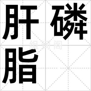 肝磷脂