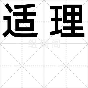 适理
