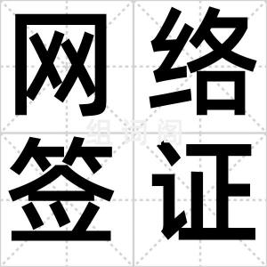 网络签证
