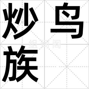 炒鸟族