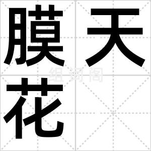 膜天花