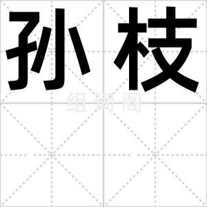 孙枝