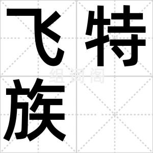 飞特族