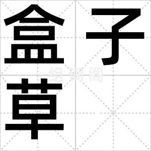 盒子草
