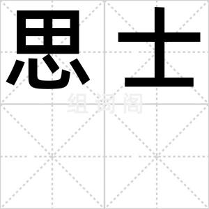 思士