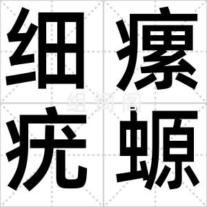 细瘰疣螈