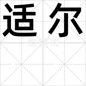 适尔