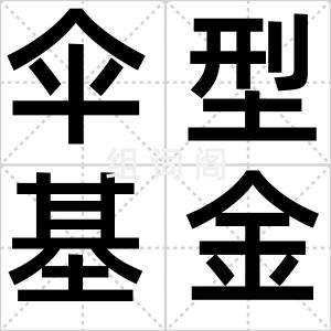 伞型基金