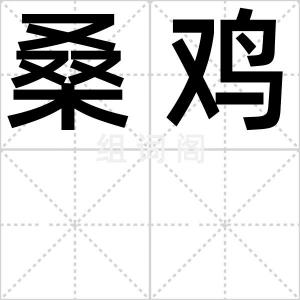 桑鸡