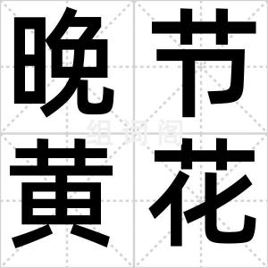 晚节黄花