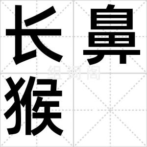 长鼻猴