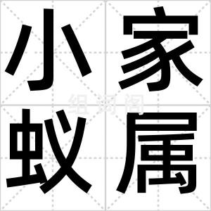小家蚁属