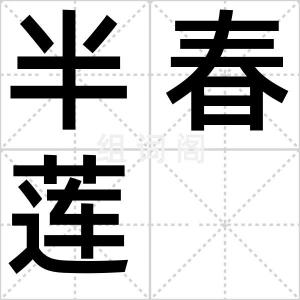 半春莲