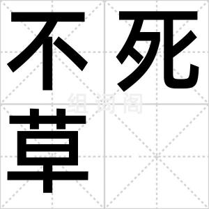 不死草