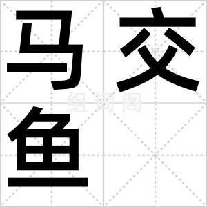 马交鱼