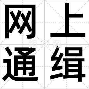 网上通缉
