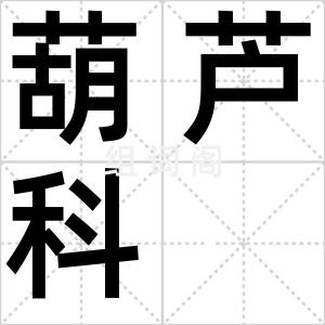葫芦科