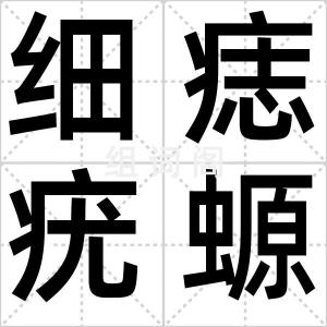 细痣疣螈