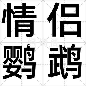 情侣鹦鹉
