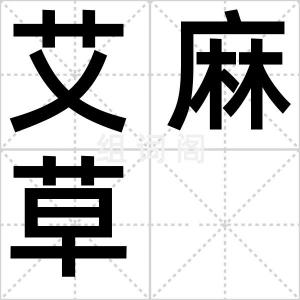 艾麻草