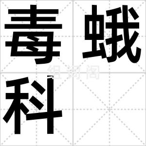 毒蛾科