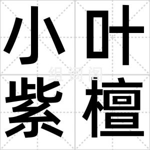 小叶紫檀