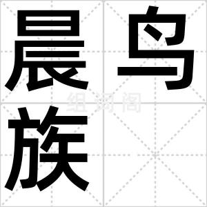 晨鸟族
