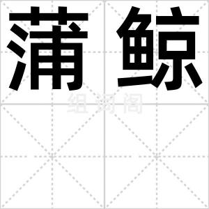 蒲鲸