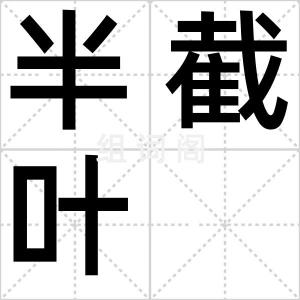 半截叶