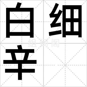 白细辛