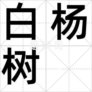 白杨树