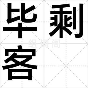 毕剩客