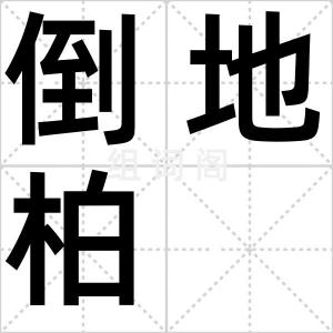 倒地柏