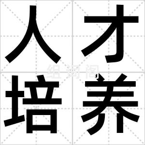 人才培养