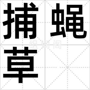 捕蝇草