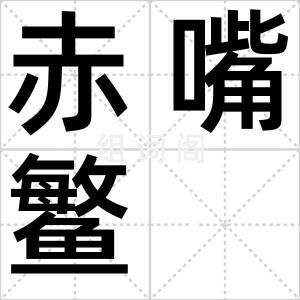 赤嘴鳘