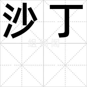 沙丁