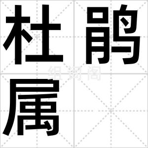 杜鹃属
